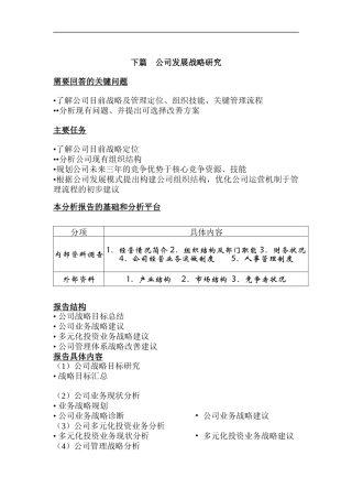 北京某公司发展战略研究报告