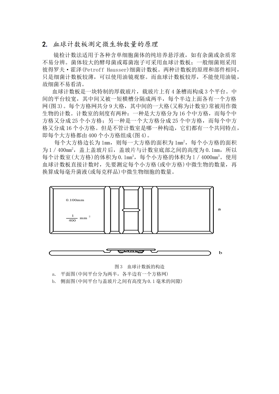 微生物的大小及数量的测定_第2页