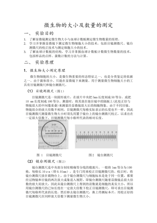 微生物的大小及数量的测定