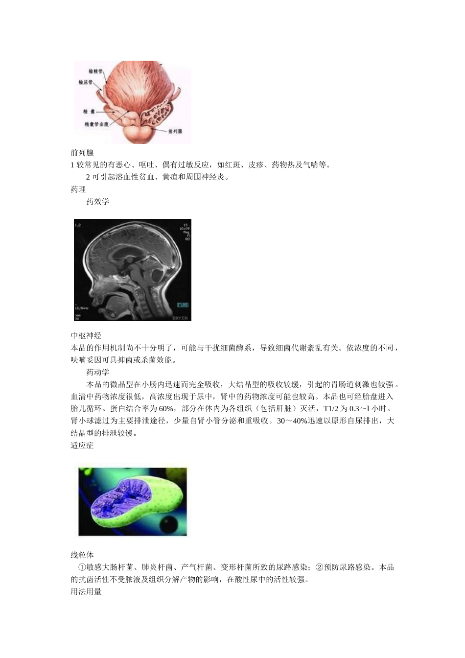 呋喃妥因----最便宜有效的抗泌尿感染药_第2页