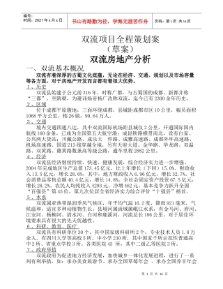 双流项目全程策划案