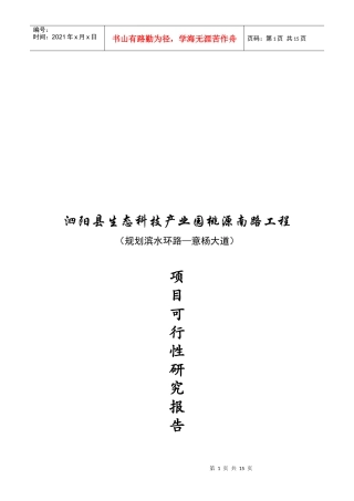 南路工程项目可行性报告