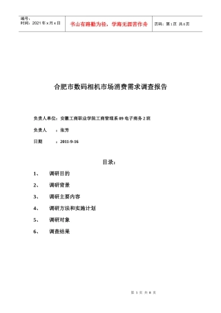 合肥市数码相机市场消费需求调查报告书