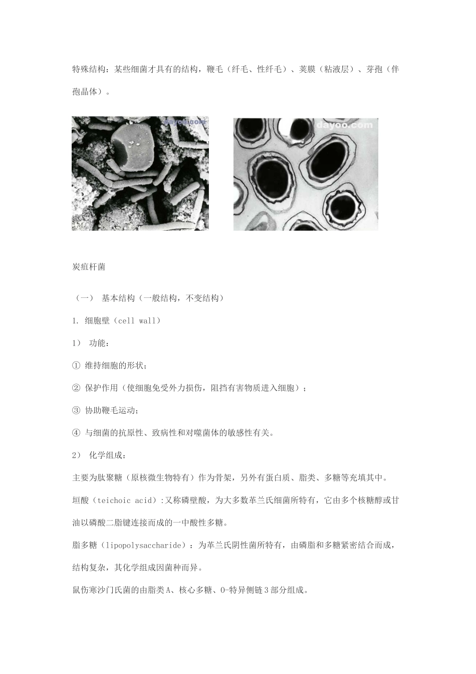 微生物与生活_第3页