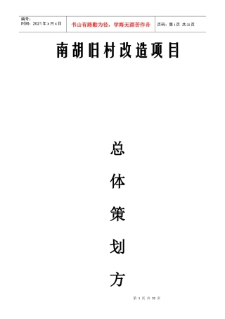 南胡总体策划方案分析