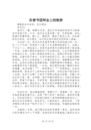 在春节团拜会上的演讲致辞(20)