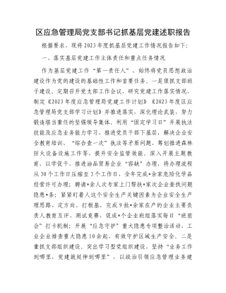 区应急管理局党支部书记抓基层党建述职报告