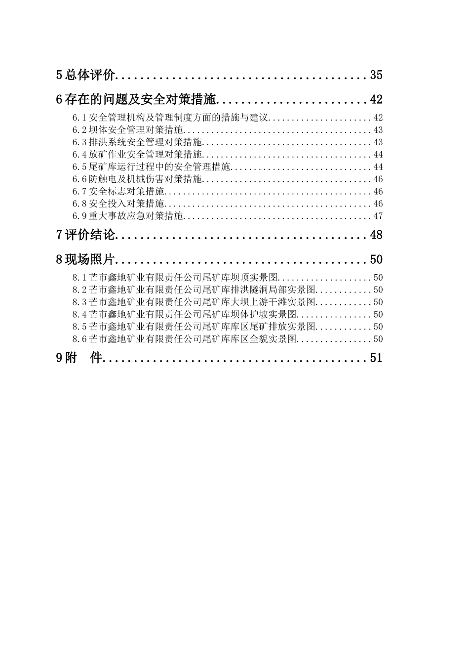尾矿库安全验收评价报告_第2页