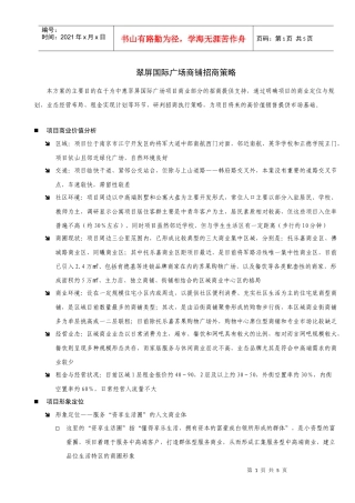 南京江宁翠屏国际广场招商策略报告