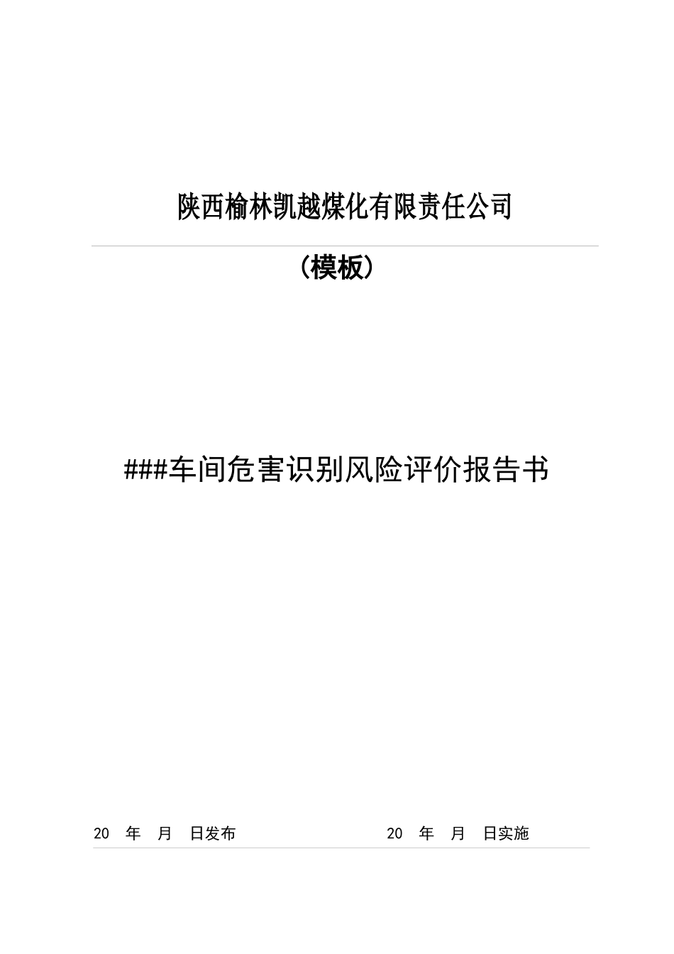 危险识别、风险评价报告书模板_第1页