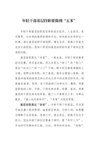 年轻干部基层挂职要做到“五多”