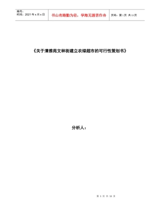 可行性策划书正式格式