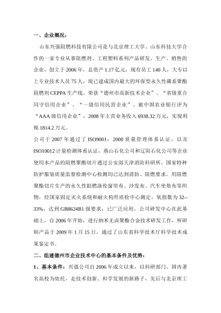 山东兴强阻燃科技有限公司企业技术中心申请书