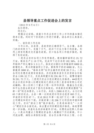 县领导重点工作促进会上的发言稿