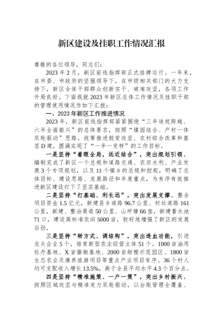 新区建设及挂职工作情况汇报