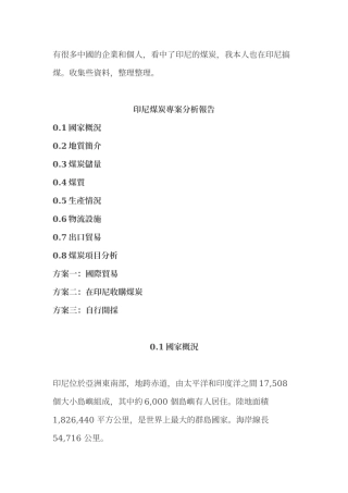 印尼煤炭专案分析报告