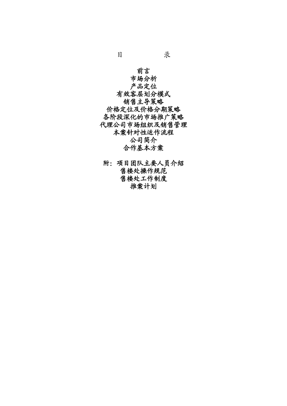 南苑策划报告（DOC 41页）_第1页