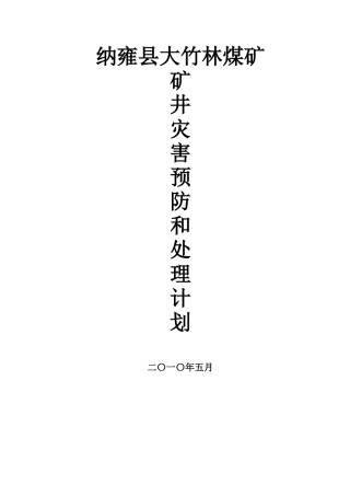 大竹林煤矿灾害预防和处理计划