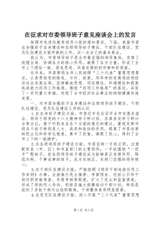 在征求对市委领导班子意见座谈会上的发言稿
