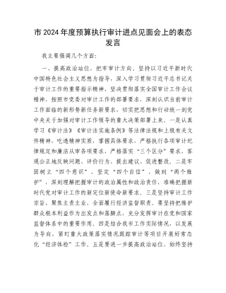 市2024年度预算执行审计进点见面会上的表态发言
