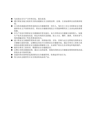 危险化学品从业单位安全标准化全套管理制度