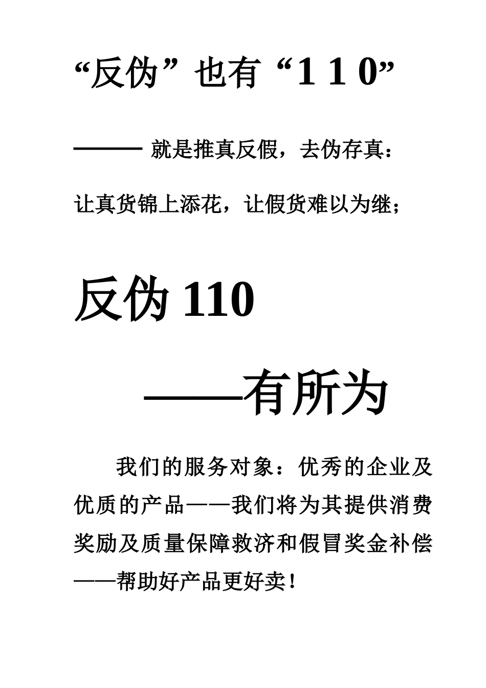 反伪110项目手册 (2)_第3页