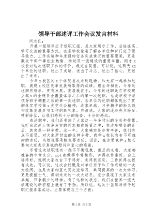 领导干部述评工作会议发言材料提纲