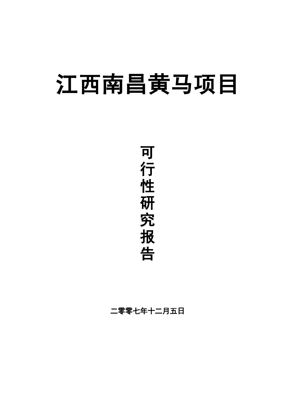 南昌黄马项目可行性研究报告改_第1页