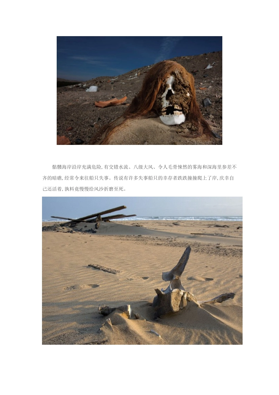 奇闻大观：神秘莫测的骷髅海岸！(图)_第2页