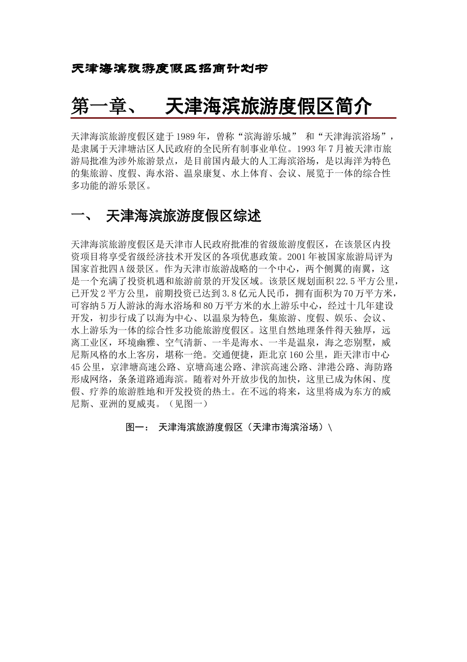 天津海滨旅游度假区策划案_第1页