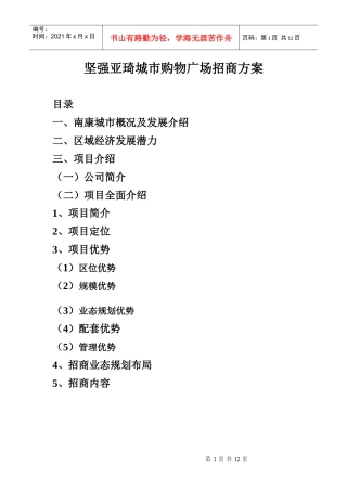 南康店招商方案网络