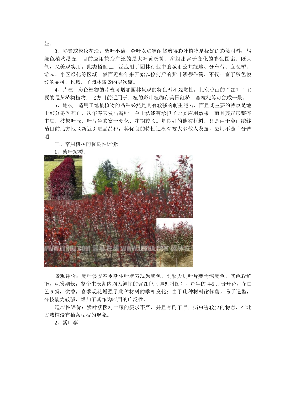 彩叶植物在北方园林中的分析评价_第2页