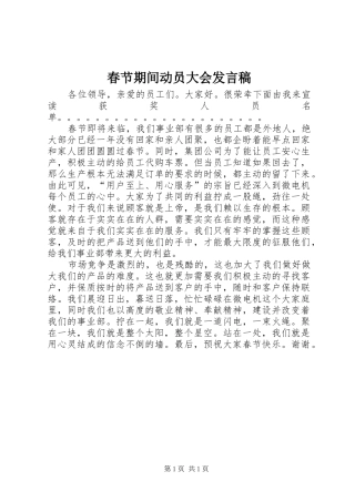 春节期间动员大会发言稿范文