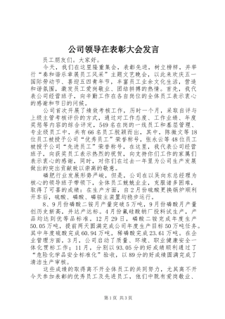 公司领导在表彰大会发言稿