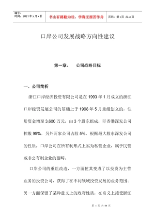 口岸公司发展战略方向性建议1