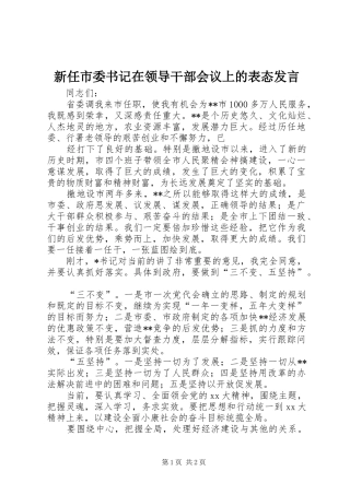 新任市委书记在领导干部会议上的表态发言稿