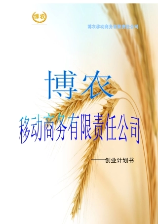 博农移动商务有限责任公司--创业计划书