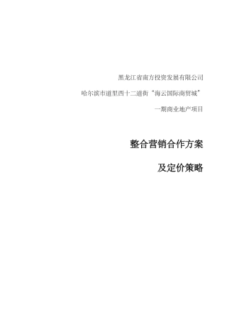 南方投资12道街项目合作方案及价格策略