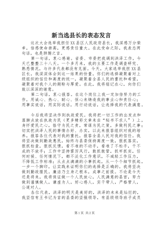 新当选县长的表态发言稿