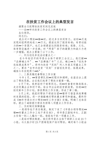 在扶贫工作会议上的典型发言稿