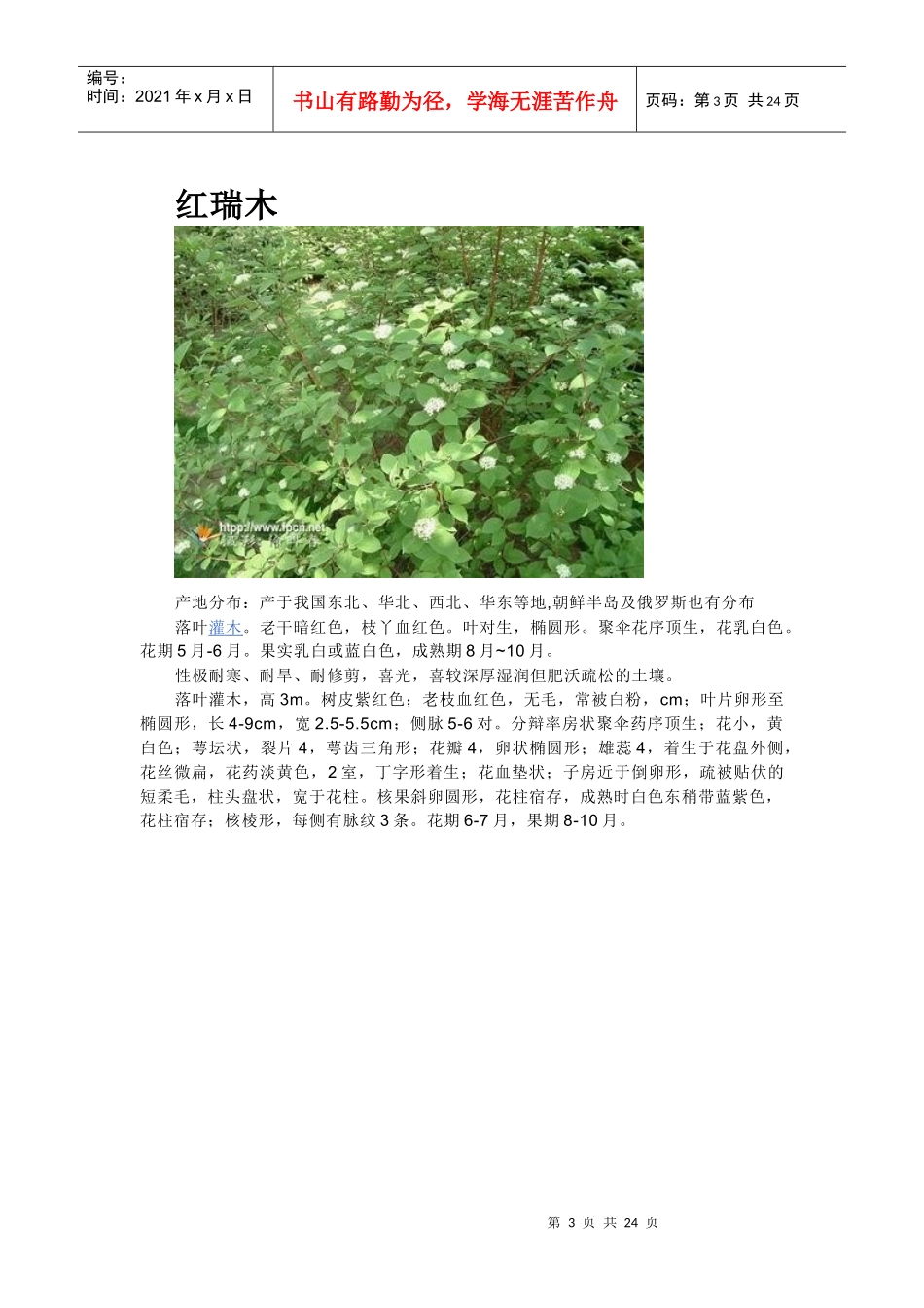 各种花卉资料汇总_第3页