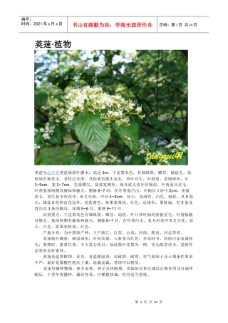 各种花卉资料汇总