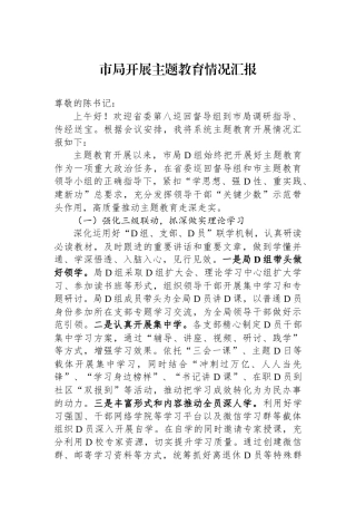 市局开展主题教育情况汇报