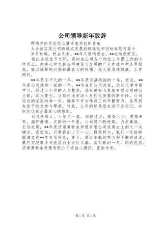 公司领导新年致辞演讲(5)