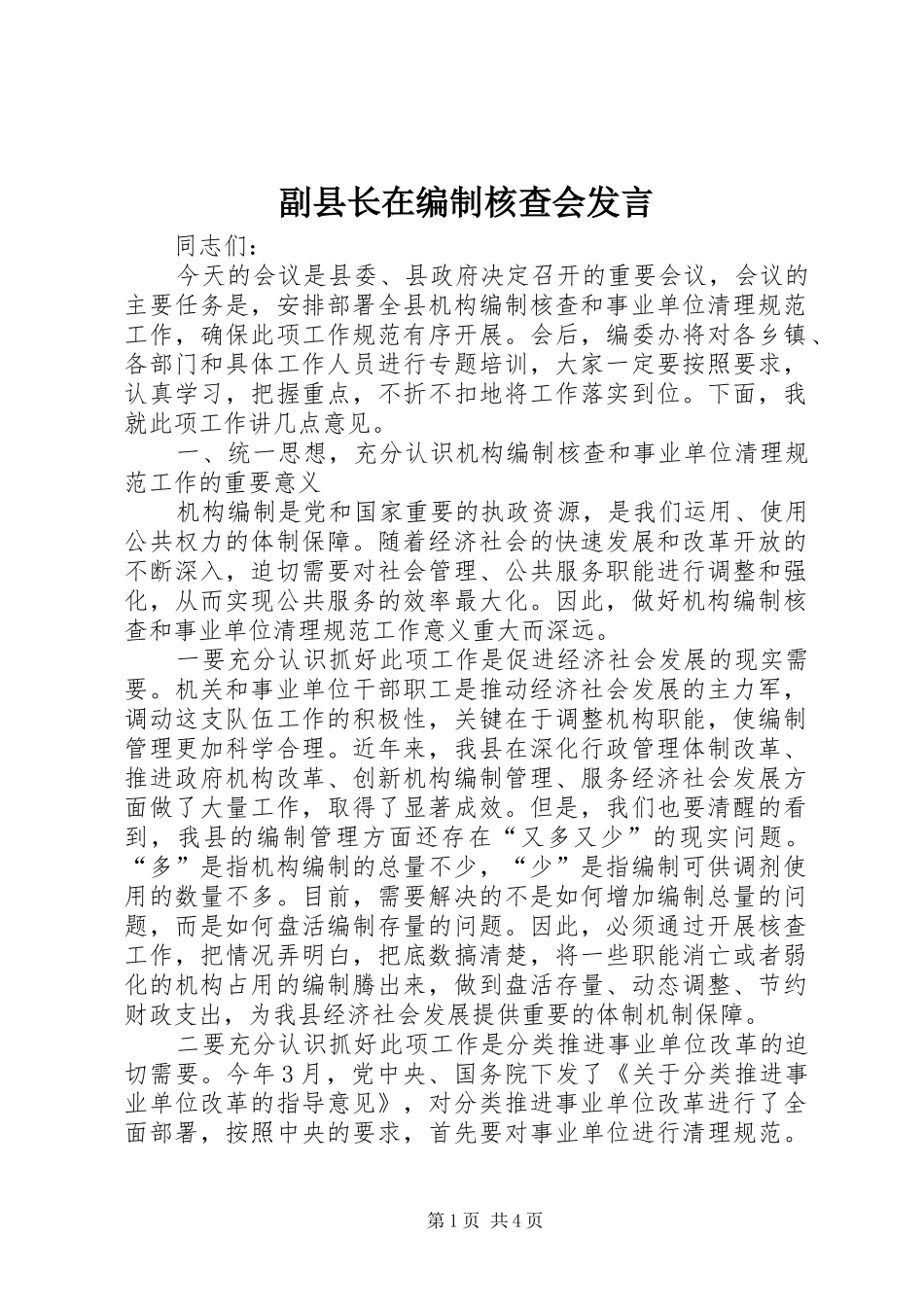 副县长在编制核查会发言稿_第1页