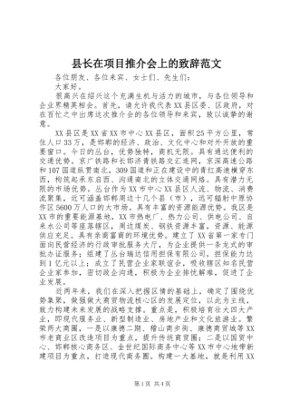 县长在项目推介会上的演讲致辞范文