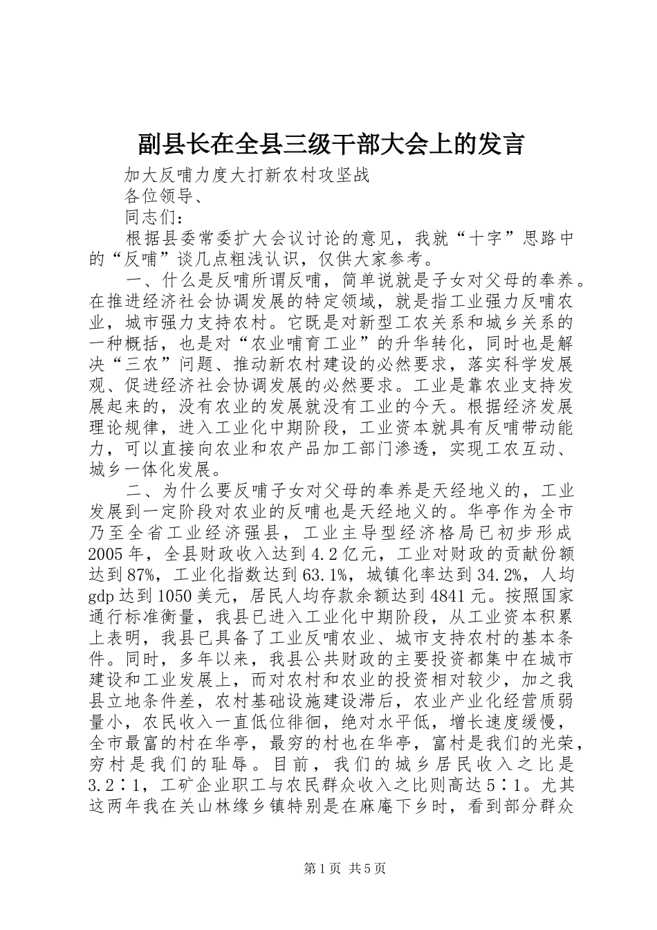 副县长在全县三级干部大会上的发言稿_第1页