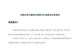 合肥某项目投资可行性研究分析报告