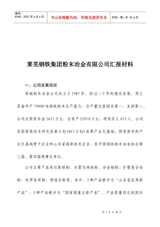 各类型公司汇报材料