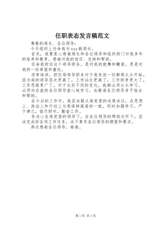 任职表态发言范文